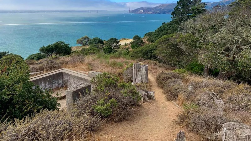 Best Dog Friendly Bay Area Hikes