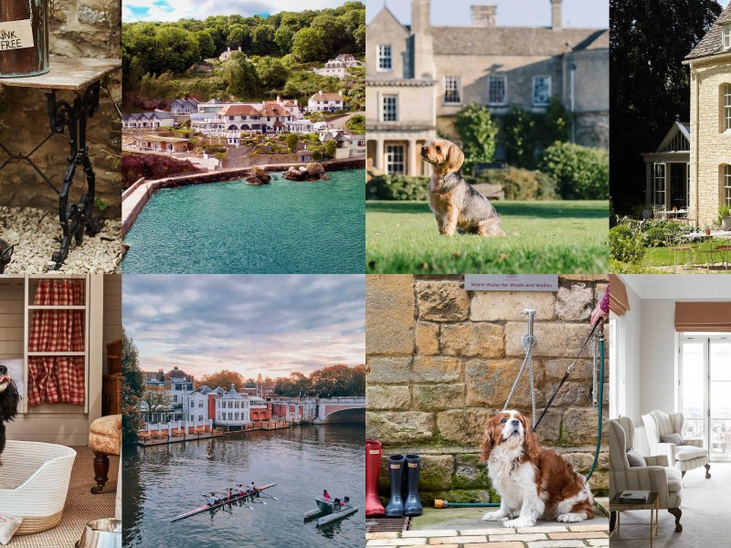 Best Dog Friendly European Cities