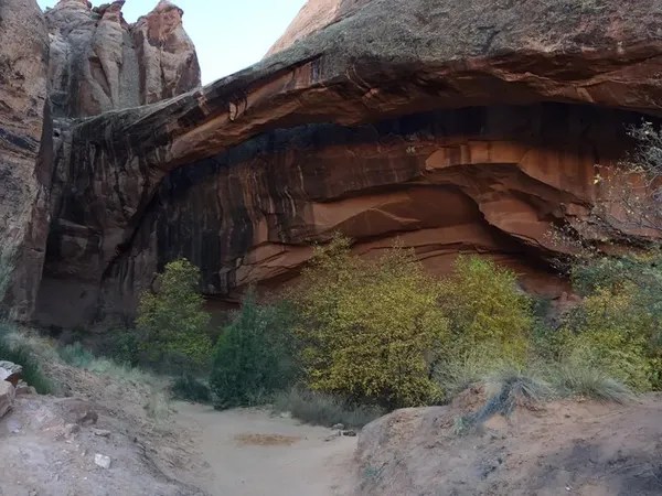 Best Dog Friendly Hikes Near Moab