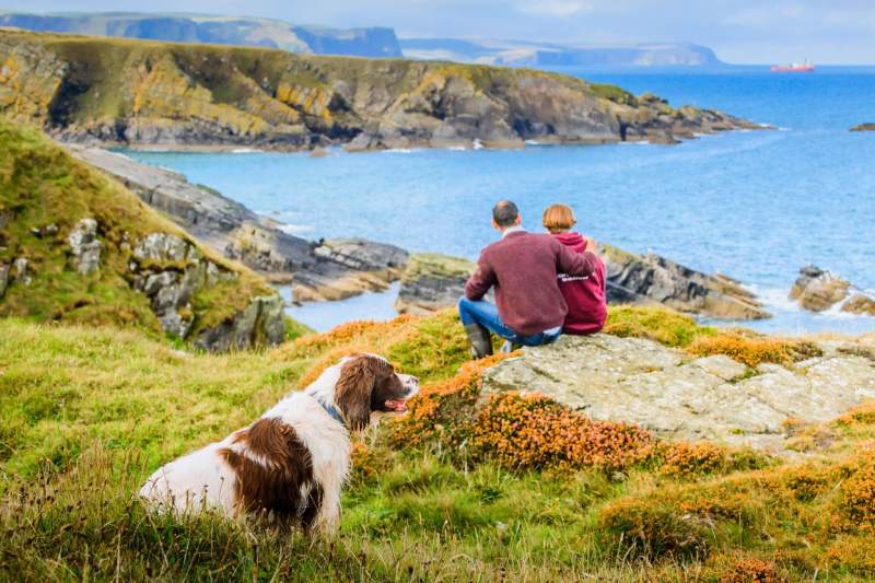 Best Dog-friendly Places To Holiday In Uk