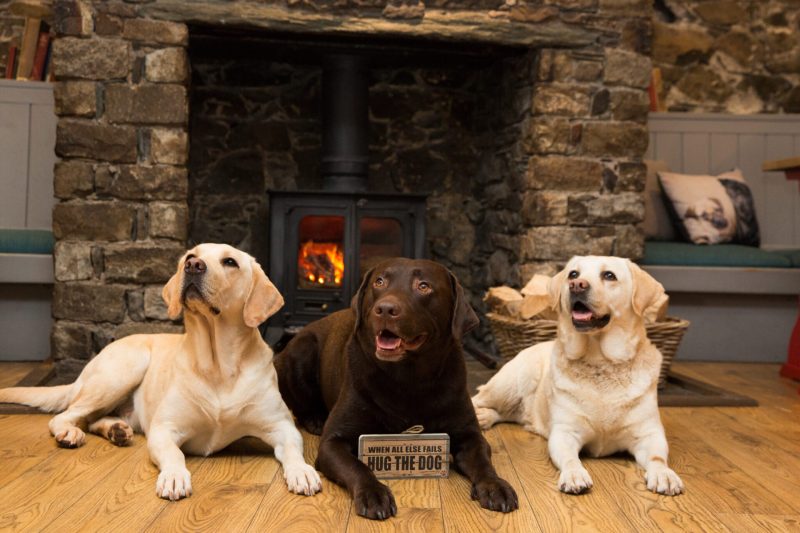 Best Dog Friendly Pubs Keswick