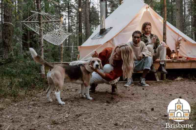 Best Dog-friendly Tents