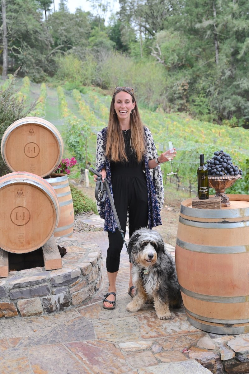 Best Dog Friendly Wineries Sonoma