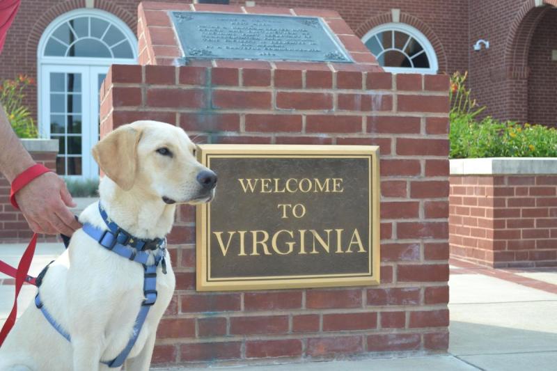 Best Pet Friendly Hotels East Coast