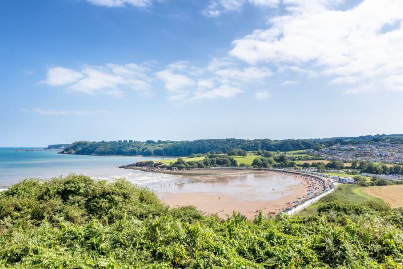 Dog Friendly Beaches East Devon