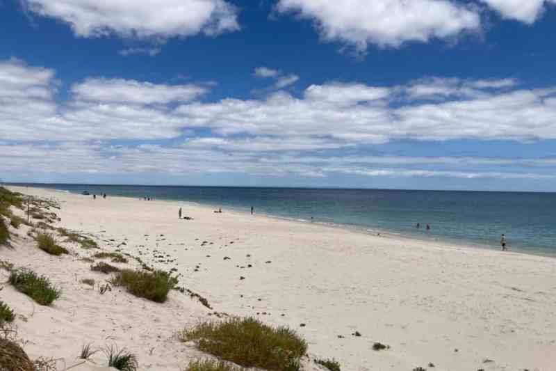 Dog Friendly Beaches Near Me In Summer