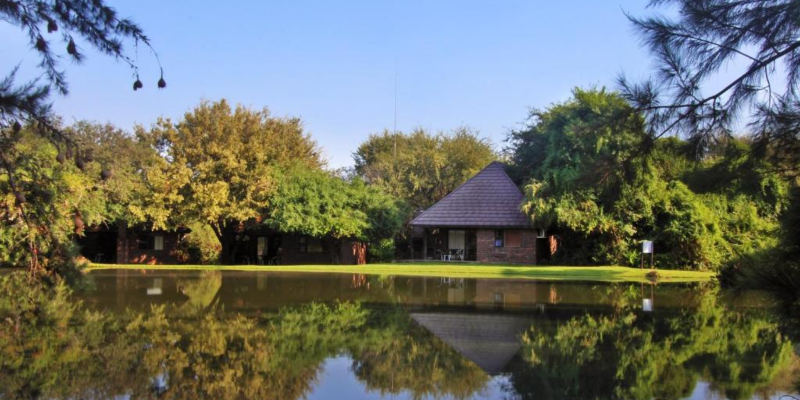 Dog Friendly Getaways Gauteng