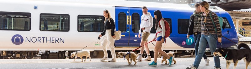 Dog-friendly Holidays By Train