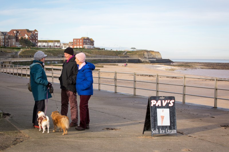 Dog Friendly Hotels Coastal Uk