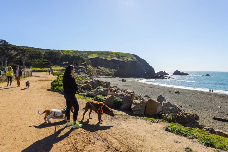 Dog Friendly Places To Hike Near Me