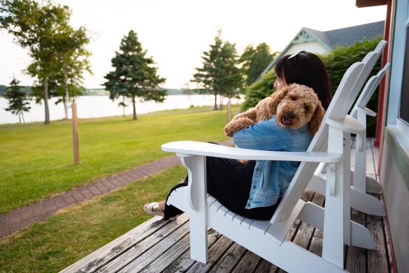 Dog Friendly Resorts On East Coast