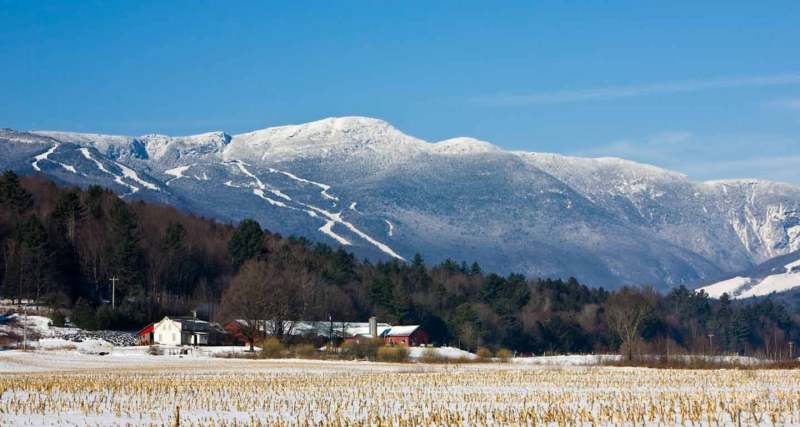 Dog Friendly Resorts Vermont