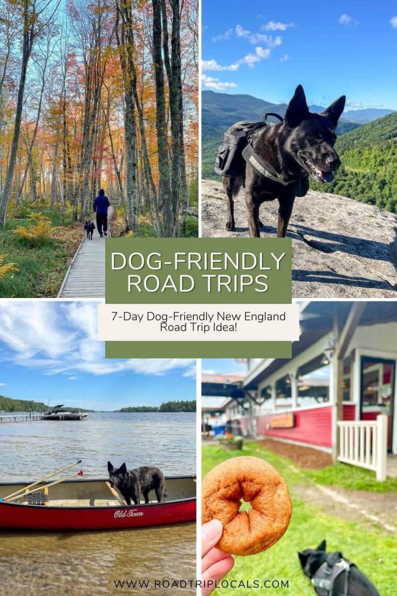 Dog Friendly Trips Ontario