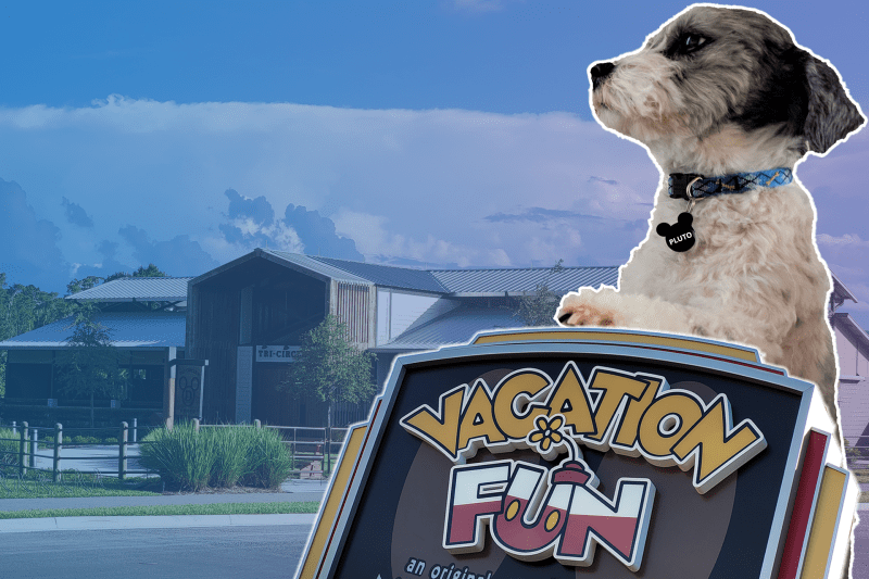 Dog-friendly Vacation Resorts