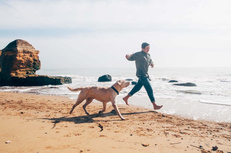 Dog Friendly Vacations In October