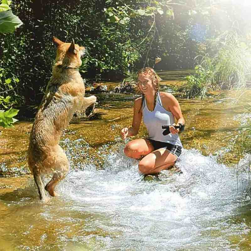 Dog Friendly Vacations Southeast