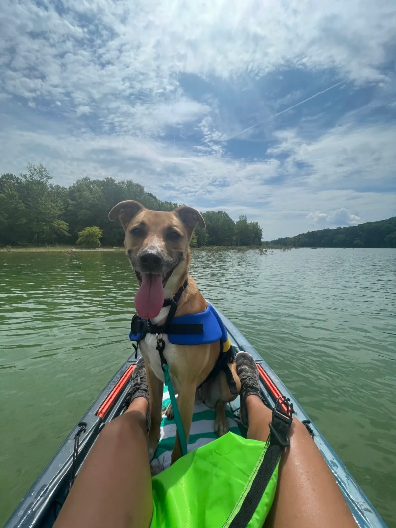 Dog Friendly Vacations Tennessee