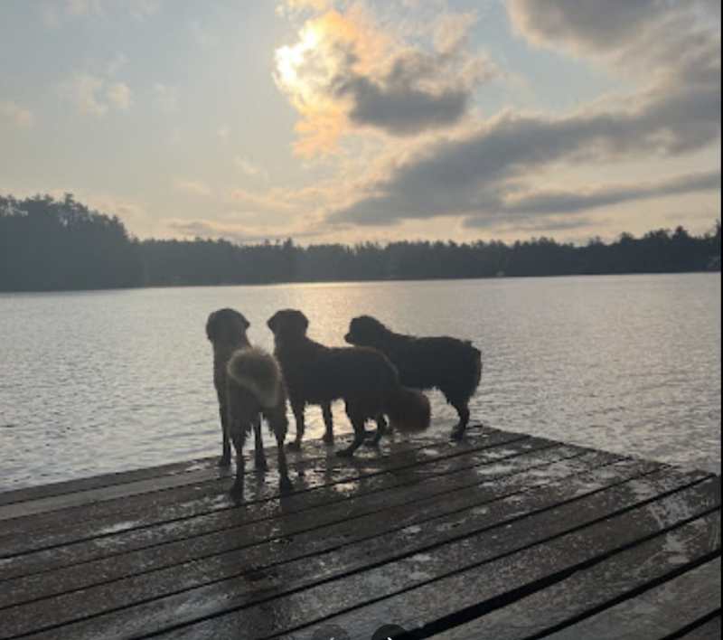 Pet Friendly Cabin Rentals Near Me With Hot Tub