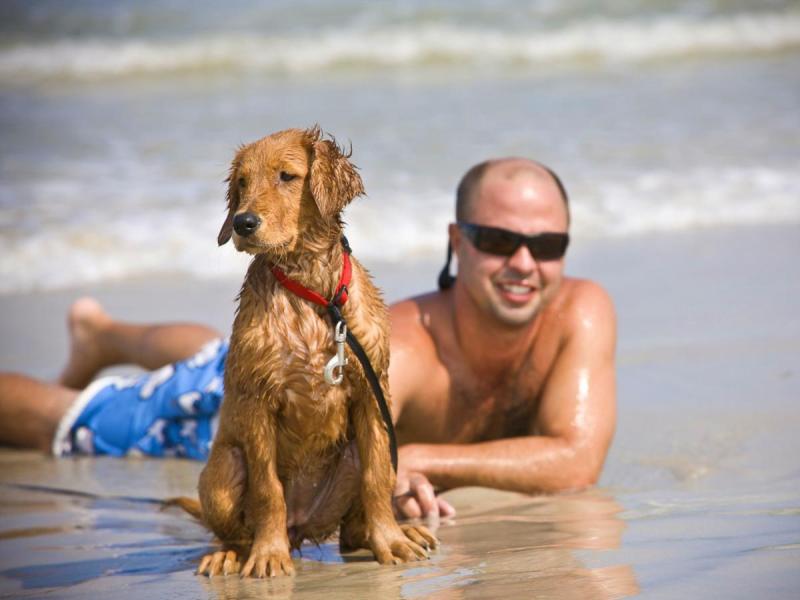 Vacations That Are Pet Friendly