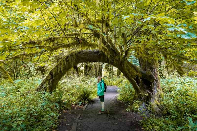 Best Day Hikes In Olympic National Park