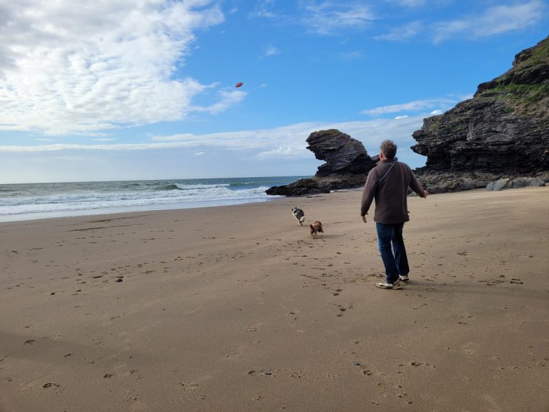 Best Dog-friendly Beach Holidays Uk