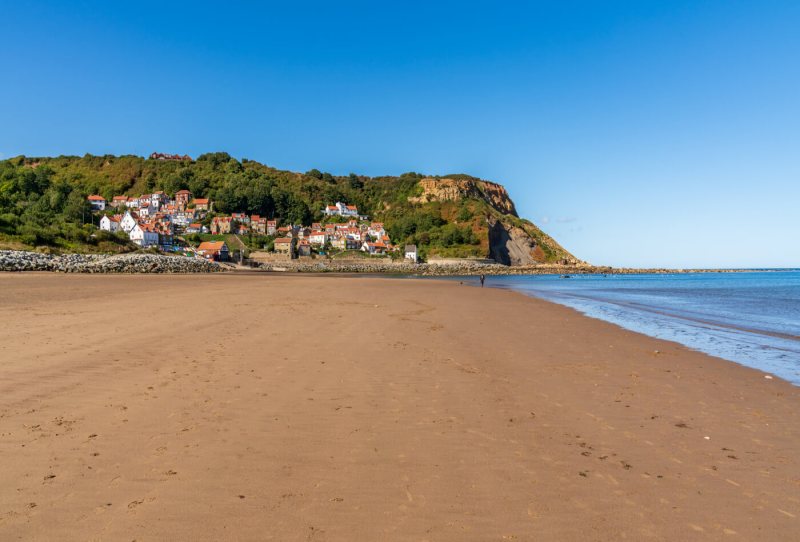 Best Dog Friendly Beaches Yorkshire