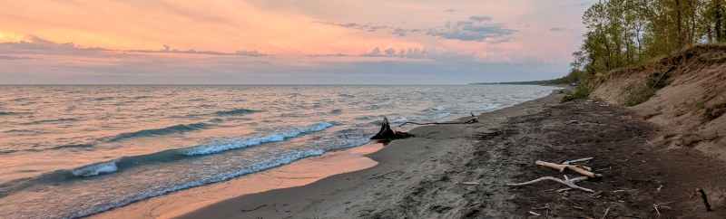 Best Dog-friendly Camping Ontario