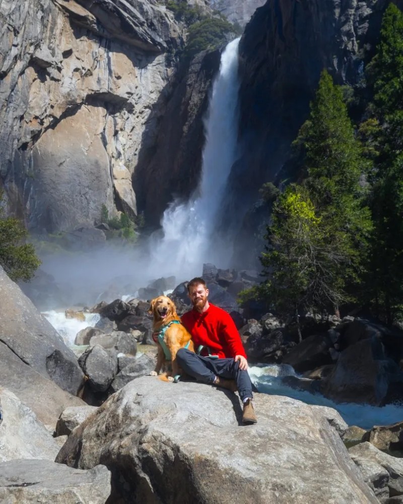 Best Dog Friendly Hikes Yosemite