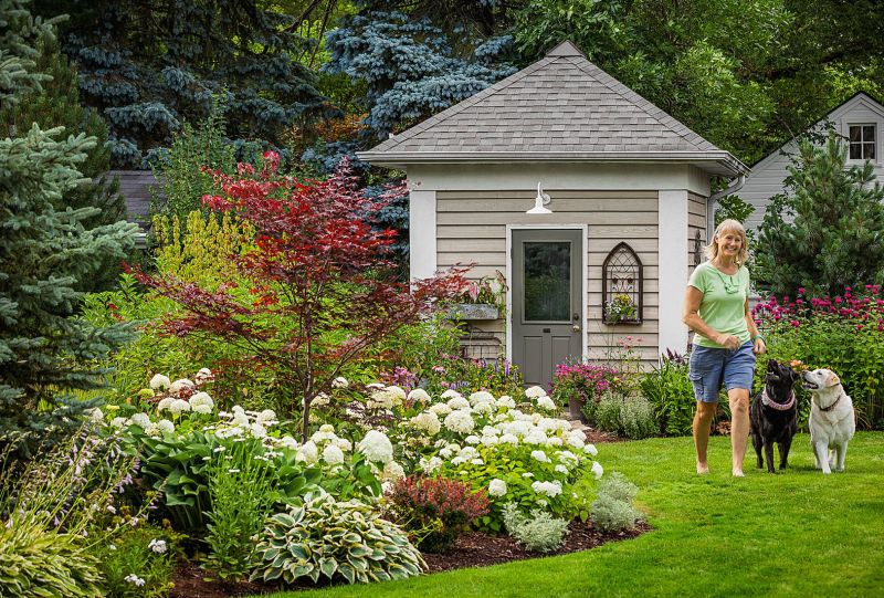 Best Dog Friendly Landscaping