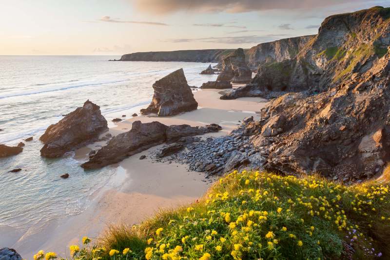 Best Dog Friendly Locations Cornwall