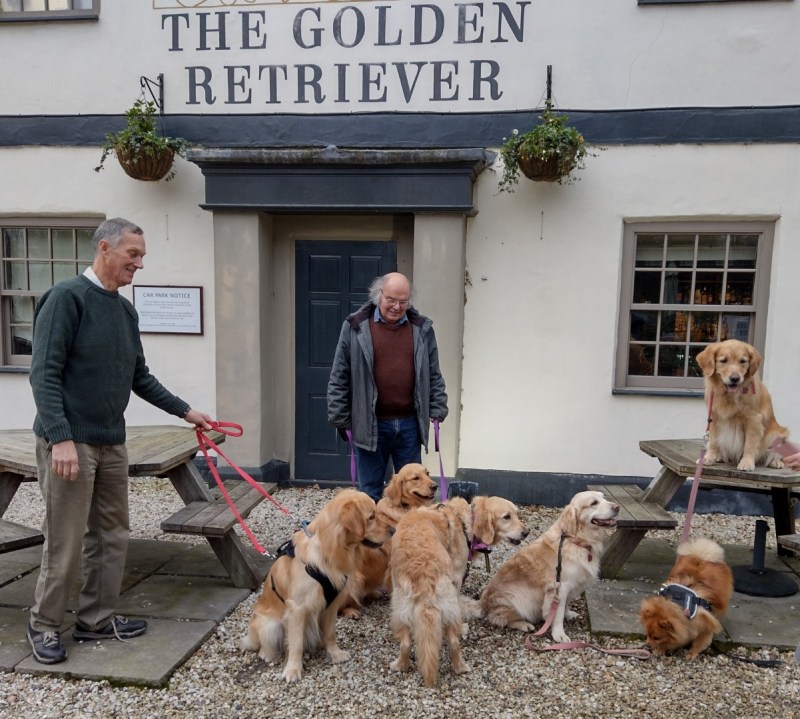 Best Dog Friendly Motorway Services