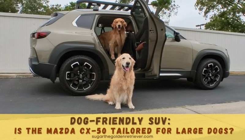 Best Dog Friendly Suv