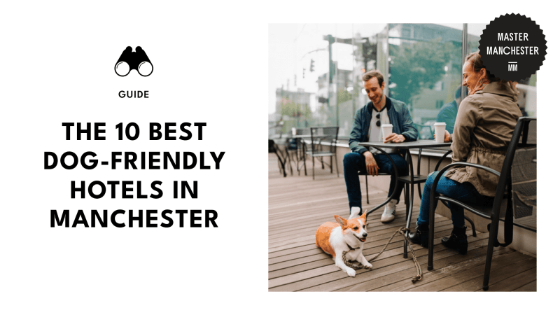 Best Dog Friendly Uk Hotels