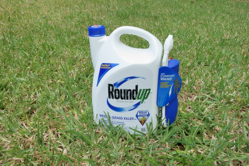 Best Dog Friendly Weed Killer