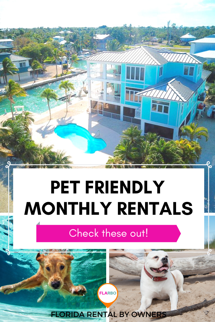 Best Dog Resorts In Florida