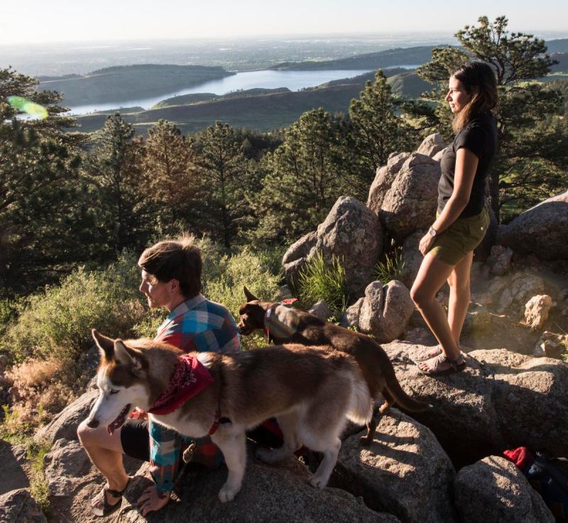 Best Hiking Vacations With Dogs