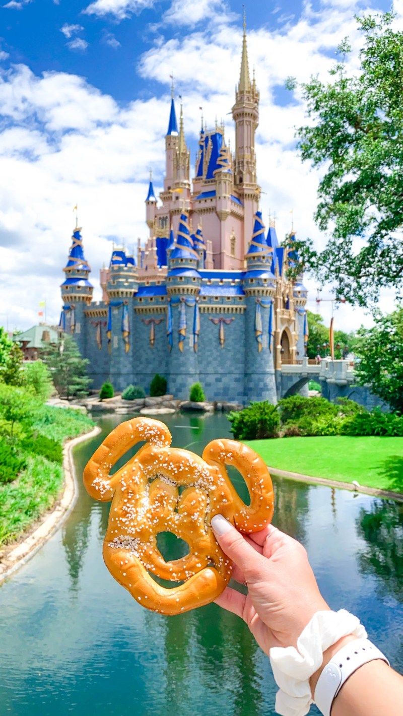 Best Pet Friendly Disney Resorts