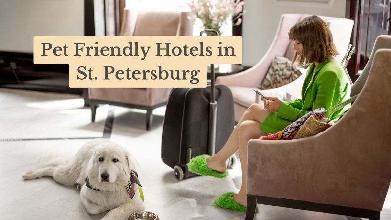 Best Pet Friendly Getaways Near Me