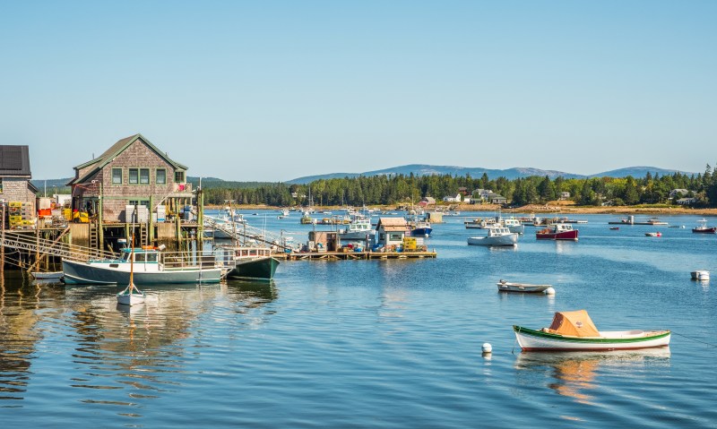 Best Pet Friendly Resorts Maine