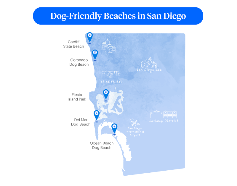 Dog Friendly Beaches Near Me Map