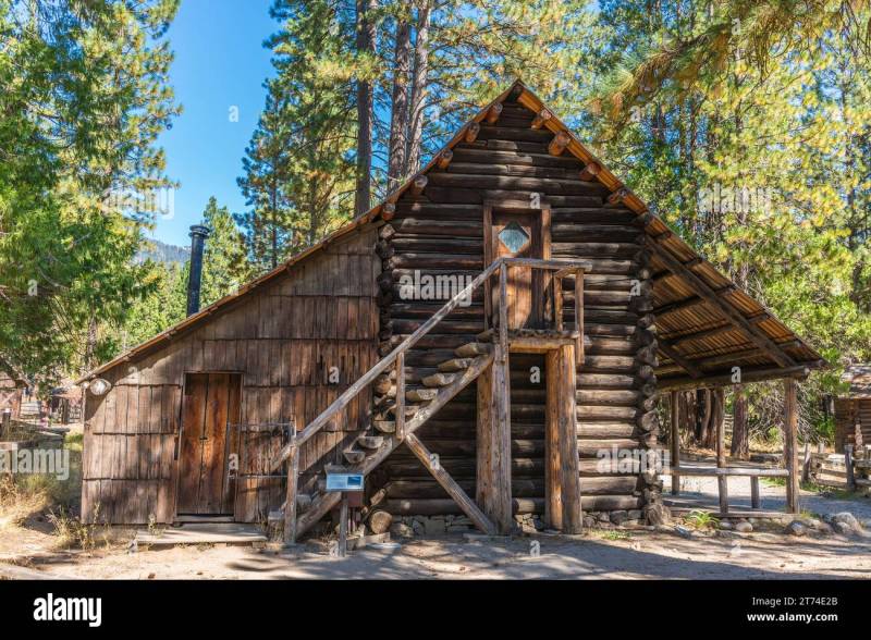 Dog Friendly Cabin Yosemite