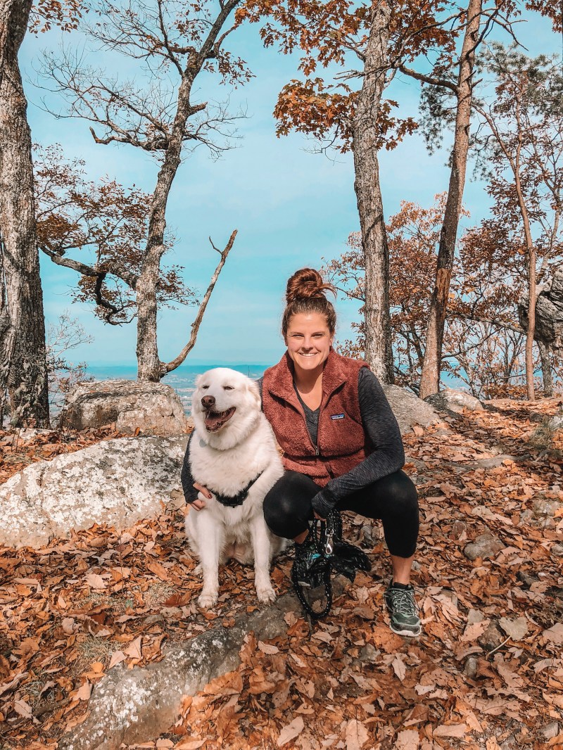 Dog Friendly Hiking Trails Near Knoxville Tn