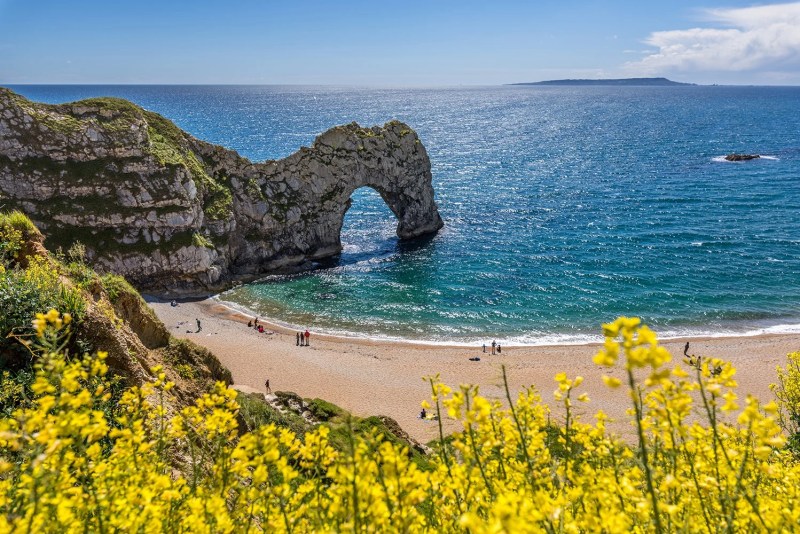 Dog Friendly Holidays Dorset