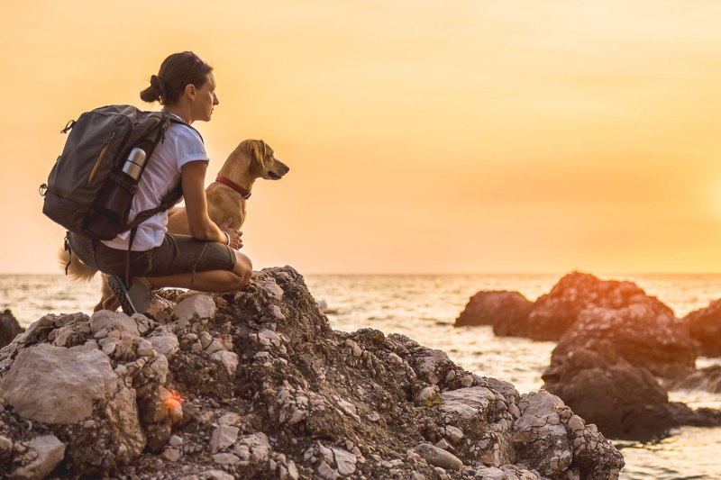 Dog Friendly Hotel Jenner Ca