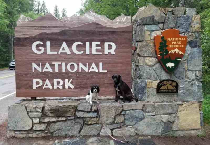 Dog Friendly Lodging Near Glacier National Park