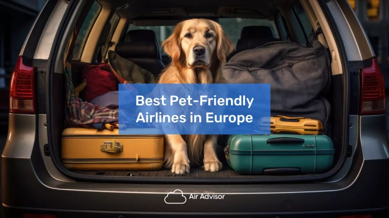 Dog Friendly Travel Europe