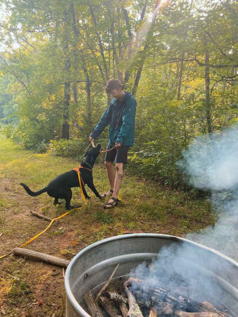 Dog Friendly Vacation Spots In Tennessee