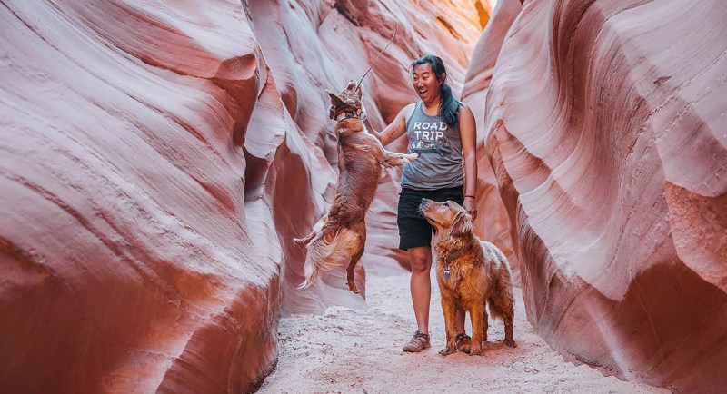 Dog Friendly Vacations In Arizona