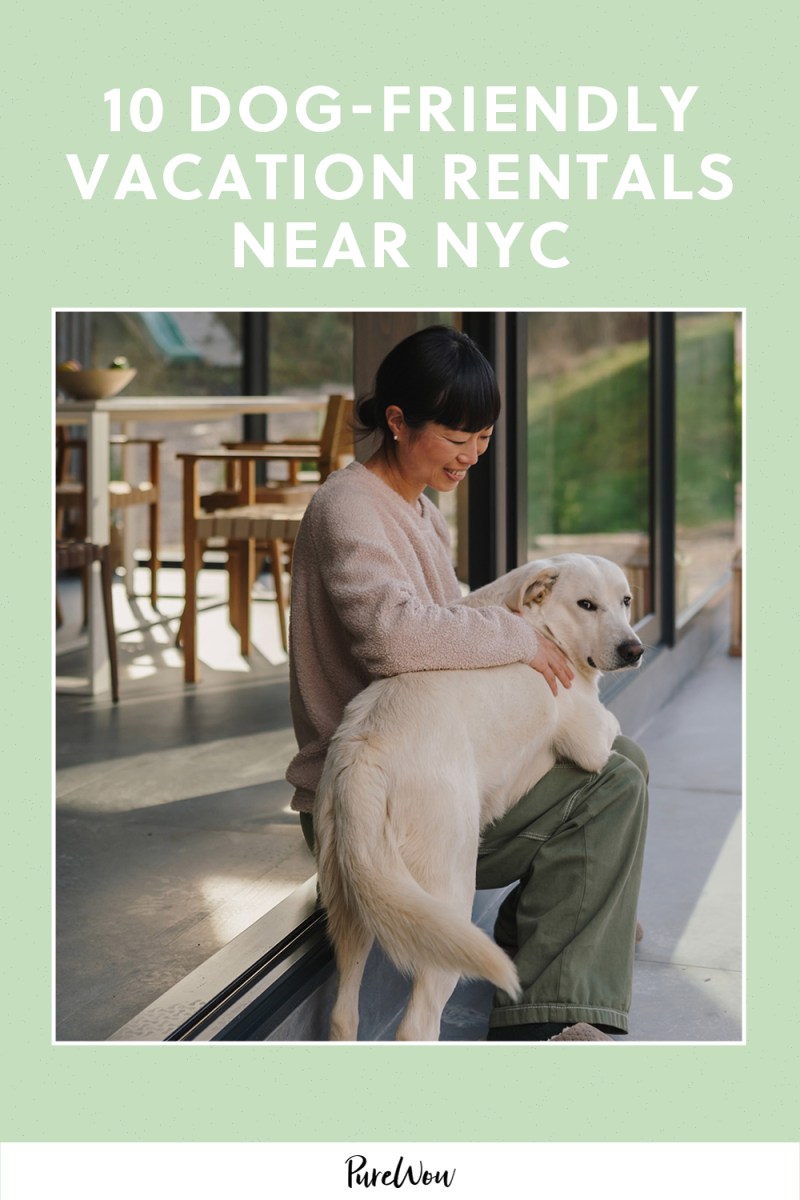 Dog Friendly Vacations New York