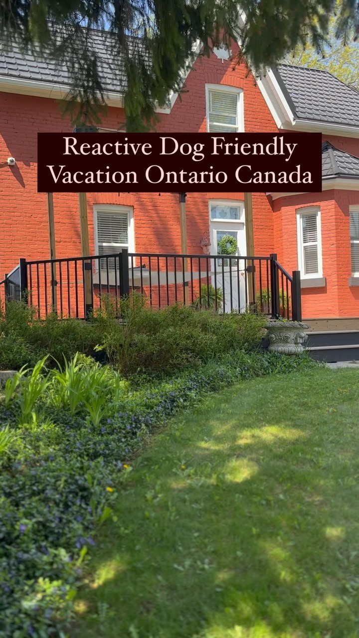 Dog Friendly Vacations Ontario